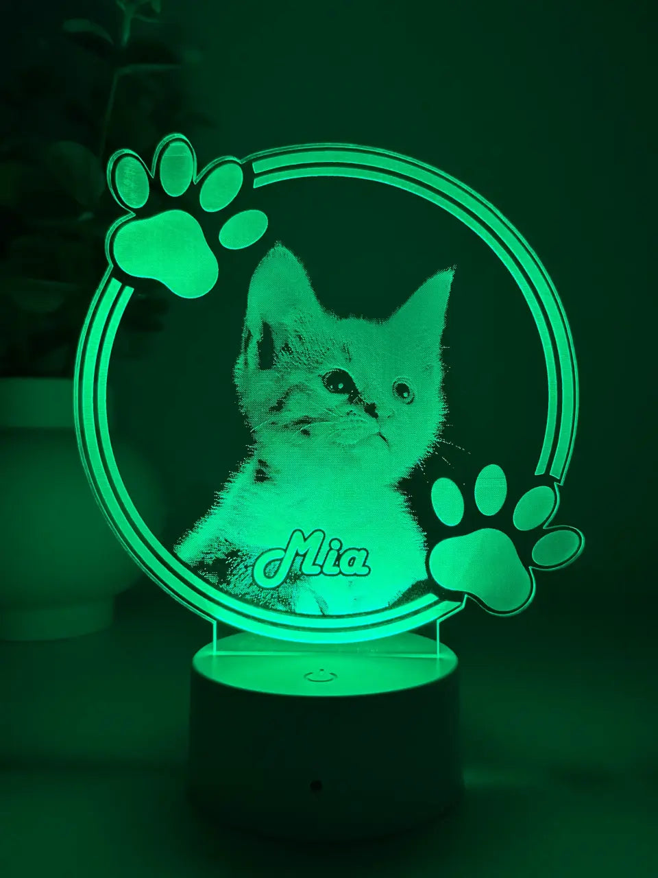 Lampă 3D Animale- Model Cerc cu lăbuțe 1