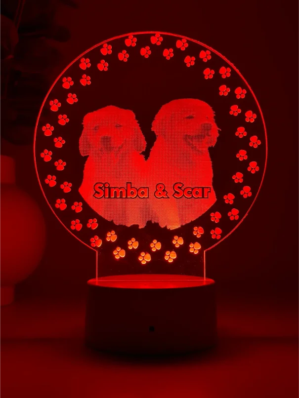 Lampă 3D Animale- Model Cerc cu lăbuțe 3