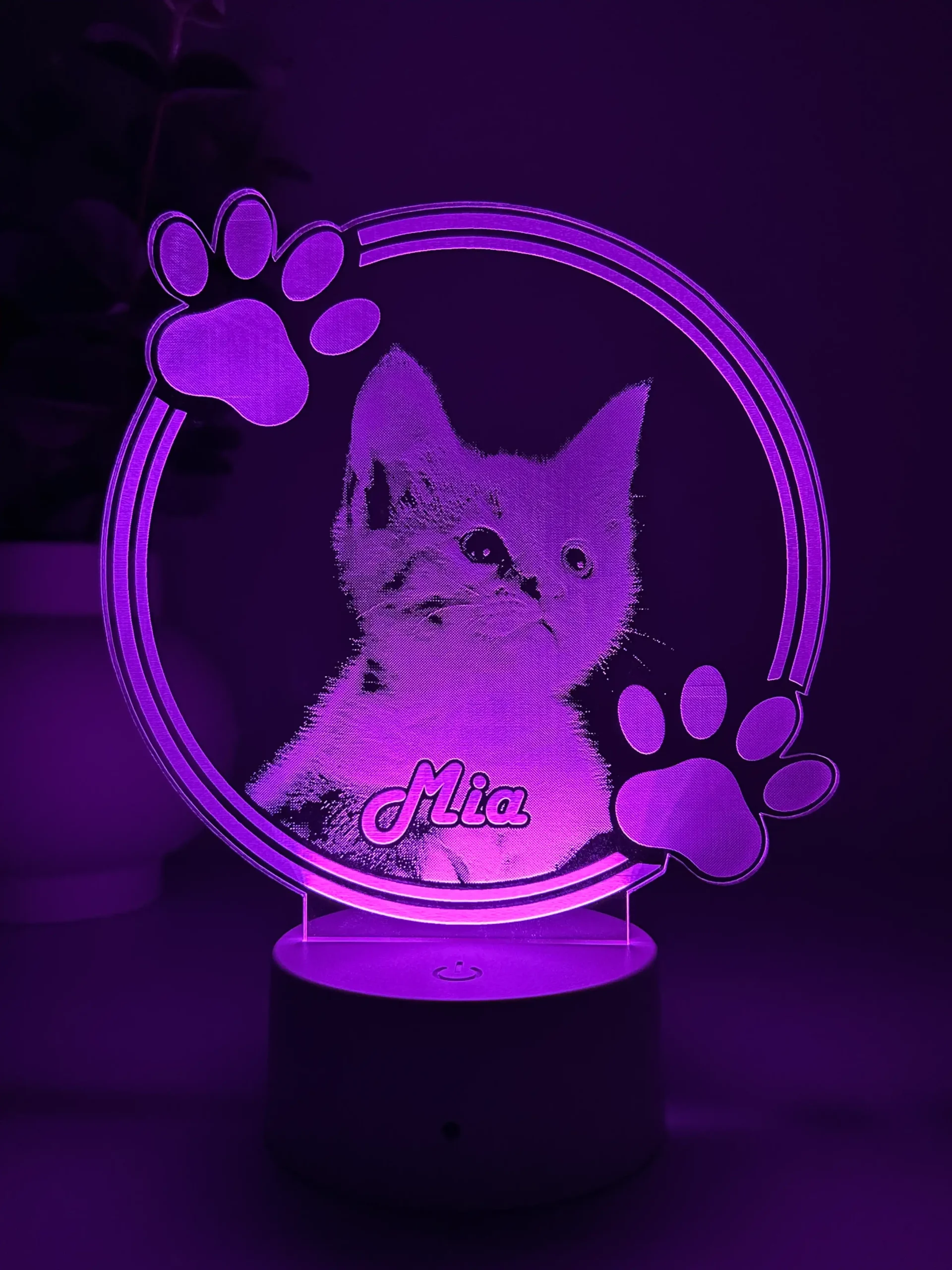 Lampă 3D Animale- Model Cerc cu lăbuțe 1 - imagine 3
