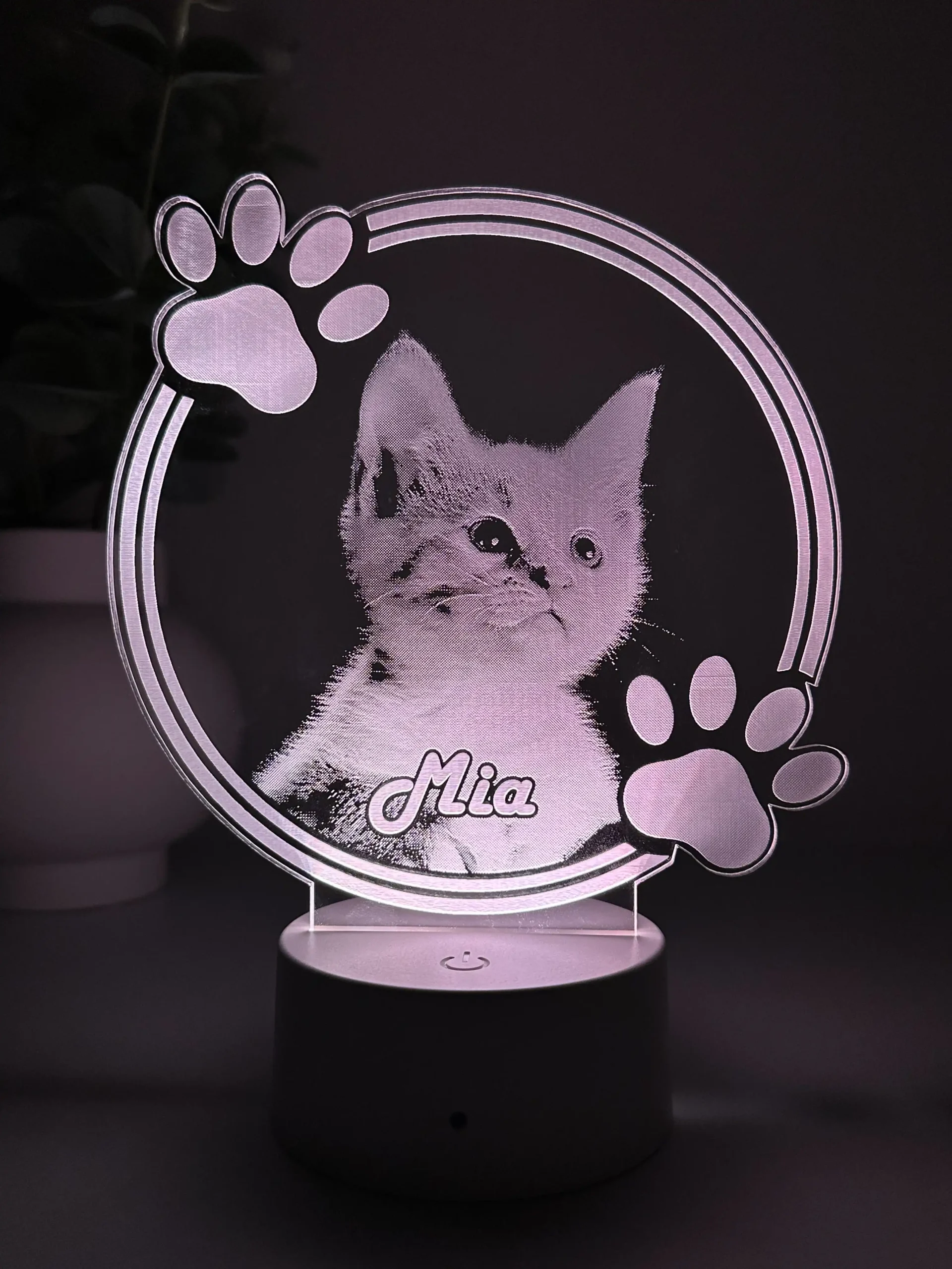Lampă 3D Animale- Model Cerc cu lăbuțe 1 - imagine 4