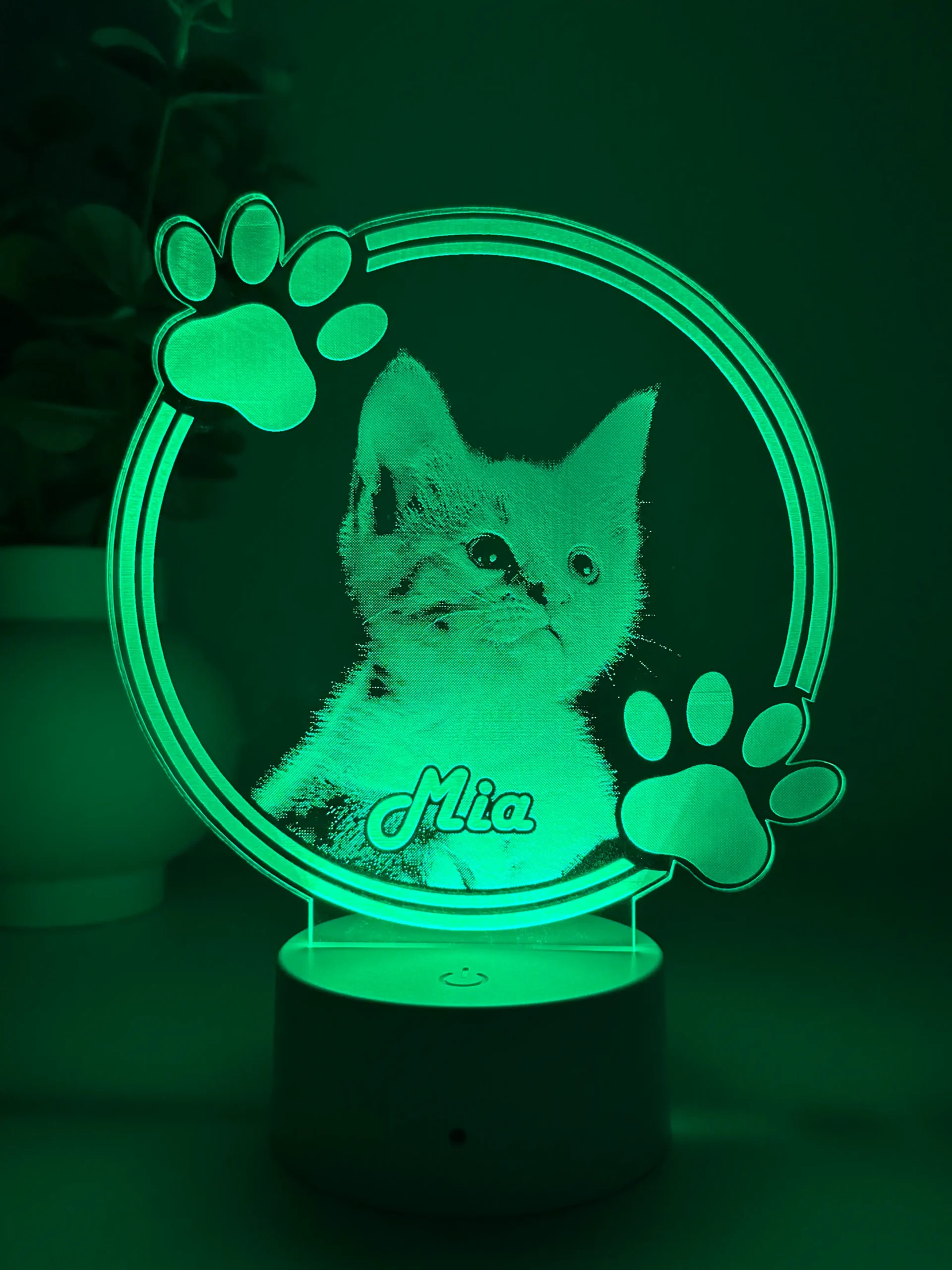 Lampă 3D Animale- Model Cerc cu lăbuțe 1 - imagine 6