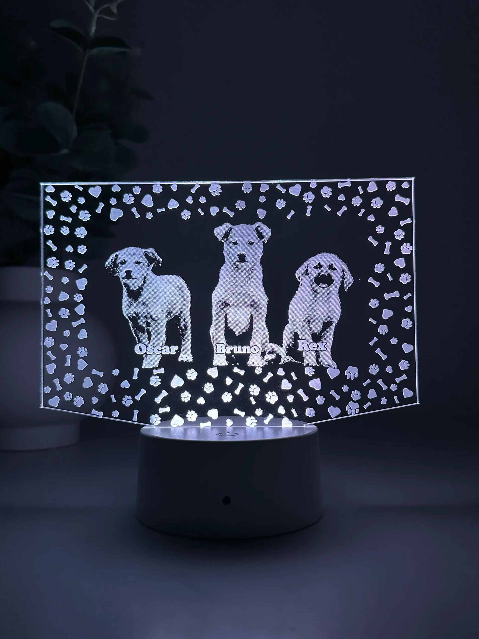 Lampă 3D Animale- Model dreptunghi - imagine 2
