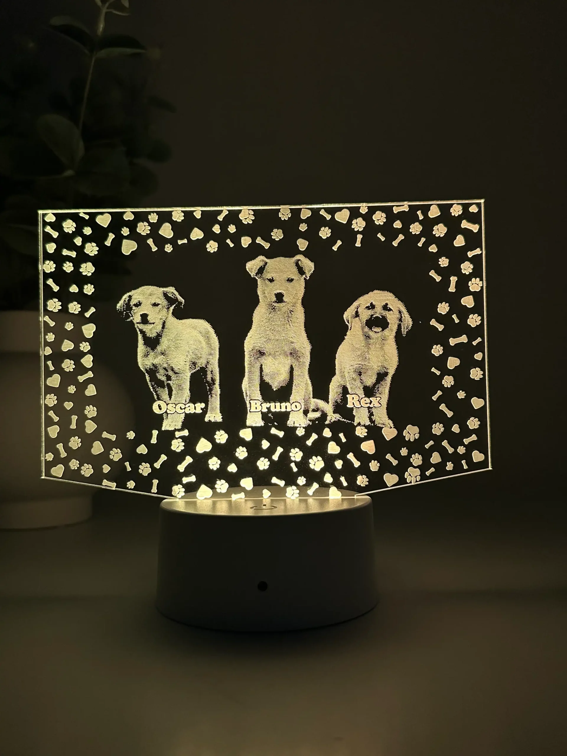 Lampă 3D Animale- Model dreptunghi - imagine 5