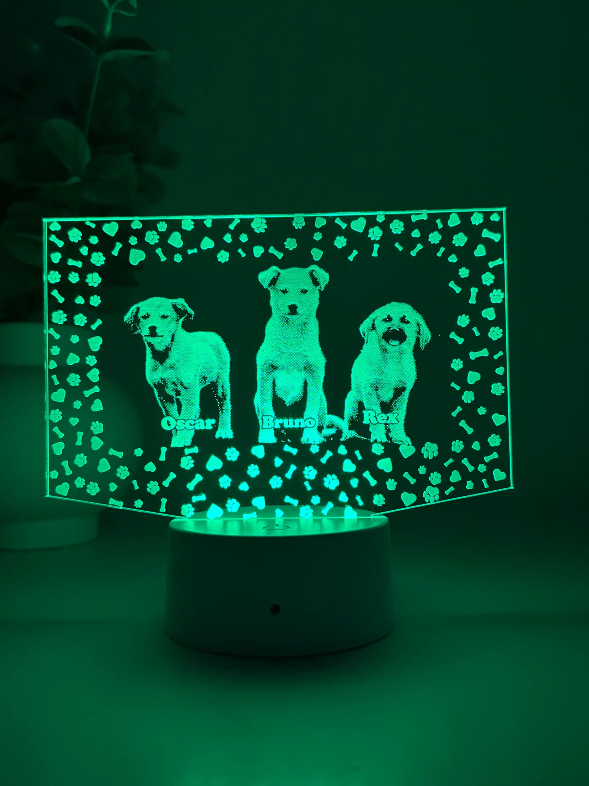 Lampă 3D Animale- Model dreptunghi - imagine 6