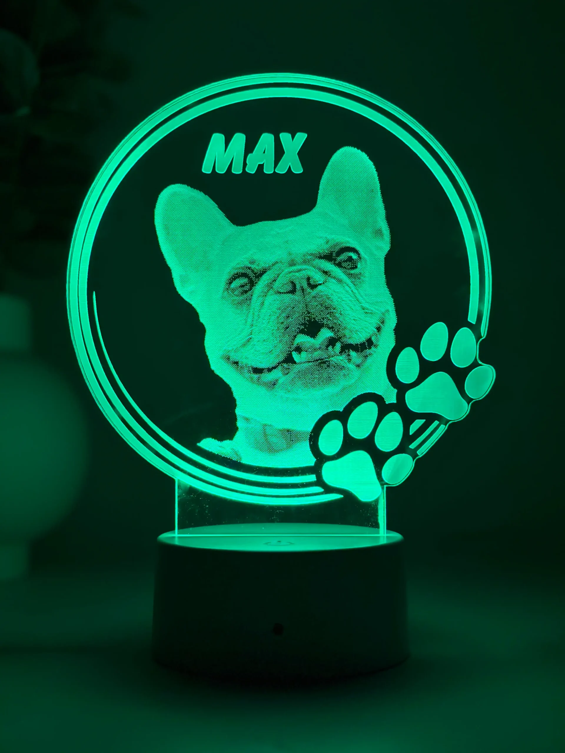 Lampă 3D Animale- Model Cerc cu lăbuțe 2 - imagine 3