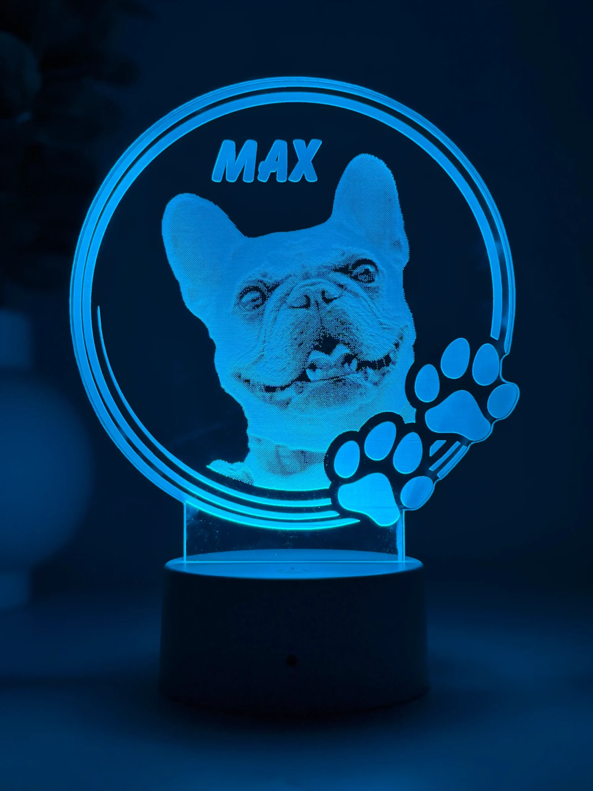 Lampă 3D Animale- Model Cerc cu lăbuțe 2 - imagine 4