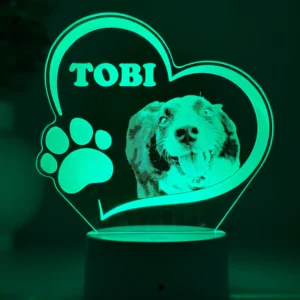 Lampă 3D Animale- Model inimă 2